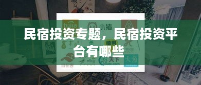 民宿投资专题，民宿投资平台有哪些 