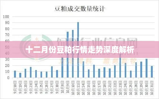 十二月份豆粕行情走势深度解析