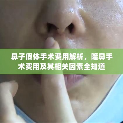 鼻子假体手术费用解析，隆鼻手术费用及其相关因素全知道