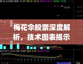 梅花伞股票深度解析，技术图表揭示未来走势