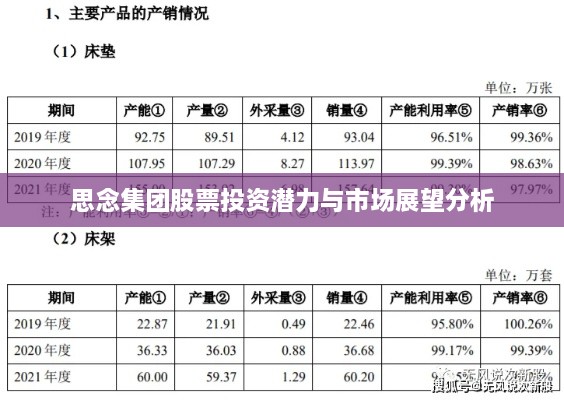 思念集团股票投资潜力与市场展望分析