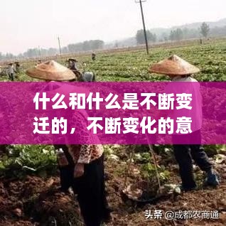 什么和什么是不断变迁的，不断变化的意思 