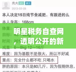 明星税务自查网，透明公开的新里程碑，行业自律重塑信任！