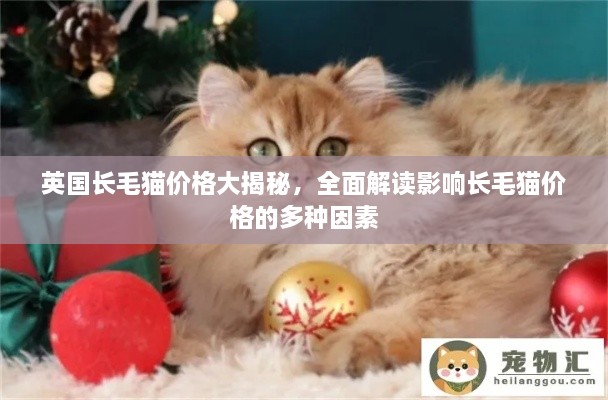 英国长毛猫价格大揭秘，全面解读影响长毛猫价格的多种因素