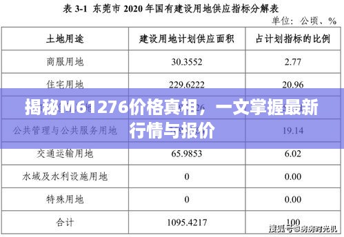 揭秘M61276价格真相，一文掌握最新行情与报价