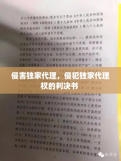 侵害独家代理，侵犯独家代理权的判决书 