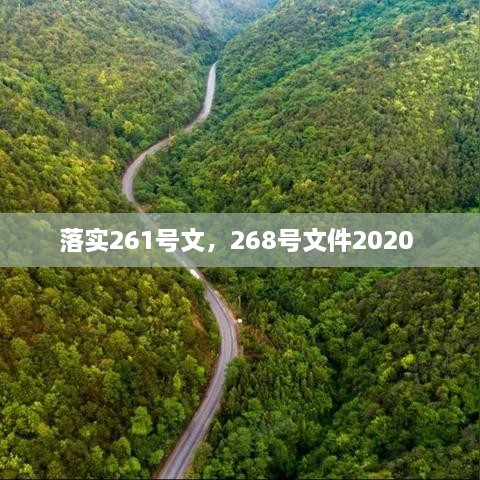 落实261号文，268号文件2020 