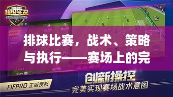 排球比赛，战术、策略与执行——赛场上的完美协同