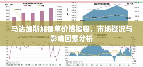 马达加斯加香草价格揭秘，市场概况与影响因素分析