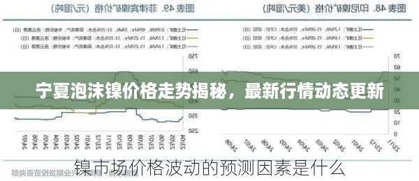 宁夏泡沫镍价格走势揭秘，最新行情动态更新