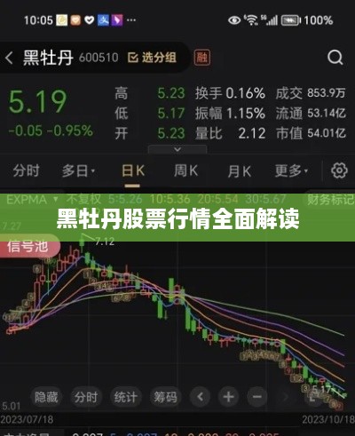 黑牡丹股票行情全面解读