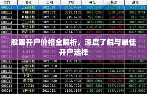 股票开户价格全解析，深度了解与最佳开户选择