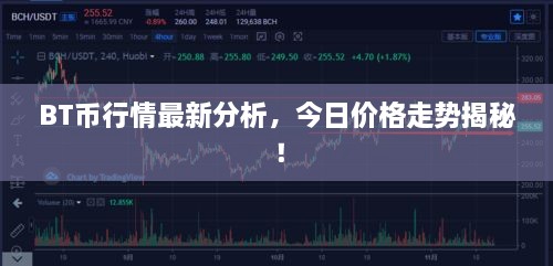 BT币行情最新分析，今日价格走势揭秘！