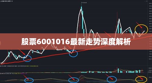 股票6001016最新走势深度解析