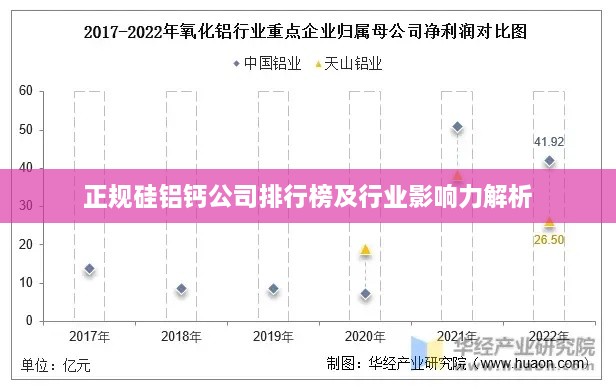 正规硅铝钙公司排行榜及行业影响力解析