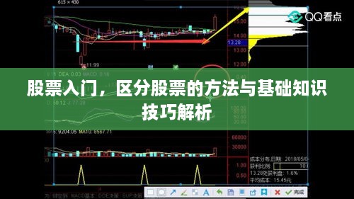 股票入门，区分股票的方法与基础知识技巧解析