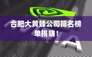 合肥大黄蜂公司排名榜单揭晓！