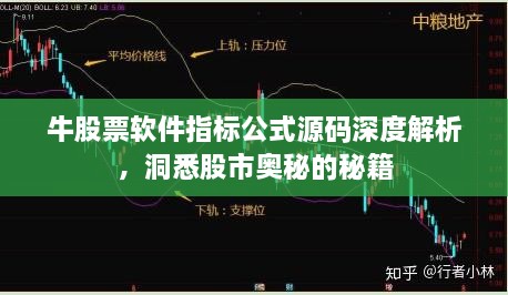 牛股票软件指标公式源码深度解析，洞悉股市奥秘的秘籍