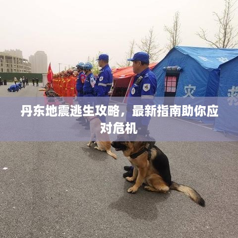 丹东地震逃生攻略，最新指南助你应对危机