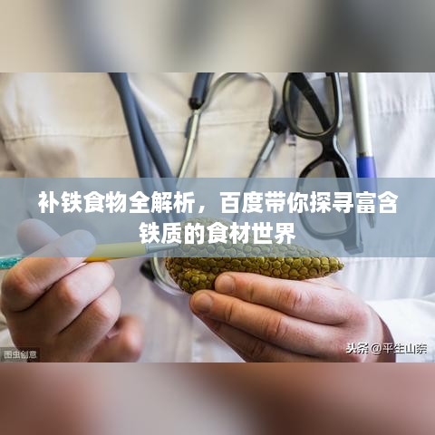 补铁食物全解析，百度带你探寻富含铁质的食材世界