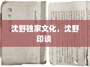 沈野独家文化，沈野印谈 