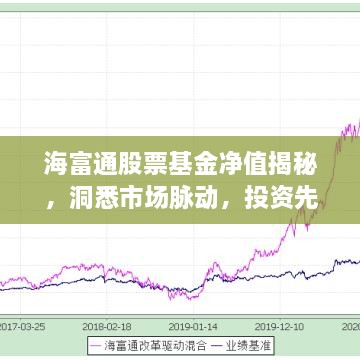 海富通股票基金净值揭秘，洞悉市场脉动，投资先机一手掌握