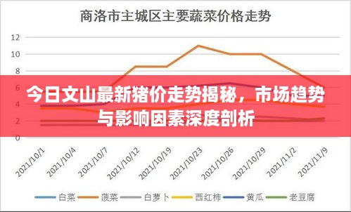 今日文山最新猪价走势揭秘，市场趋势与影响因素深度剖析