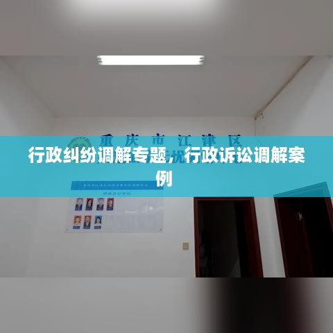 行政纠纷调解专题，行政诉讼调解案例 