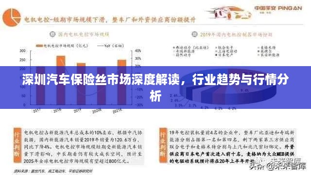 深圳汽车保险丝市场深度解读，行业趋势与行情分析