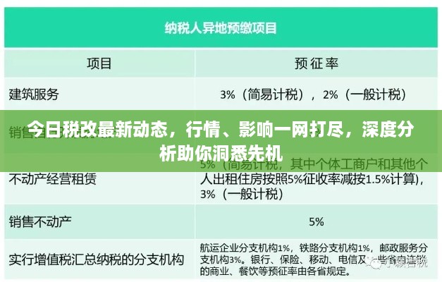 今日税改最新动态，行情、影响一网打尽，深度分析助你洞悉先机