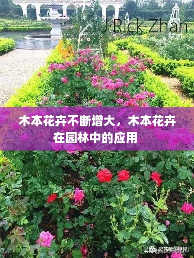 木本花卉不断增大，木本花卉在园林中的应用 