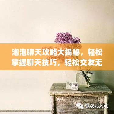 泡泡聊天攻略大揭秘，轻松掌握聊天技巧，轻松交友无压力