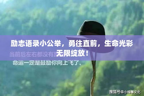 励志语录小公举，勇往直前，生命光彩无限绽放！