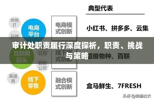 审计处职责履行深度探析，职责、挑战与策略