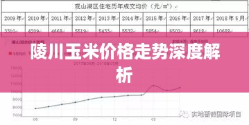 陵川玉米价格走势深度解析