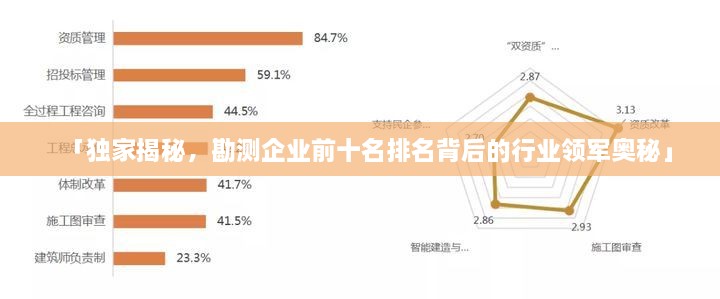 「独家揭秘，勘测企业前十名排名背后的行业领军奥秘」