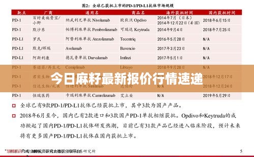 今日麻籽最新报价行情速递