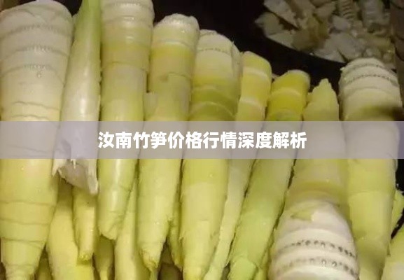 汝南竹笋价格行情深度解析