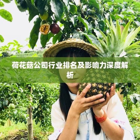 荷花菇公司行业排名及影响力深度解析