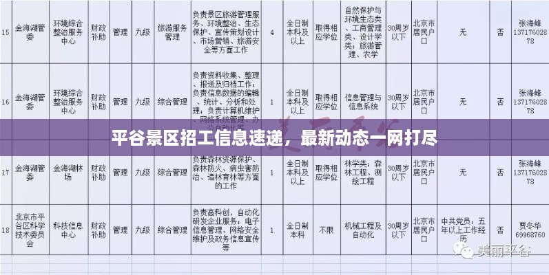 平谷景区招工信息速递，最新动态一网打尽