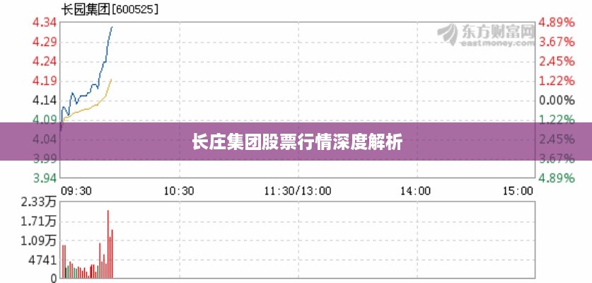 长庄集团股票行情深度解析