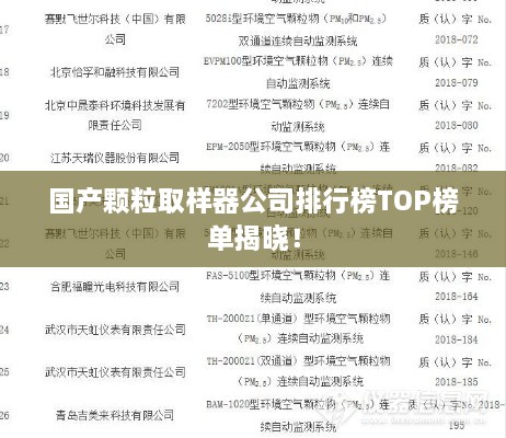 国产颗粒取样器公司排行榜TOP榜单揭晓！