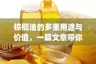 棕榈油的多重用途与价值，一篇文章带你全面了解