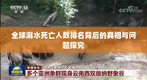 全球溺水死亡人数排名背后的真相与问题探究