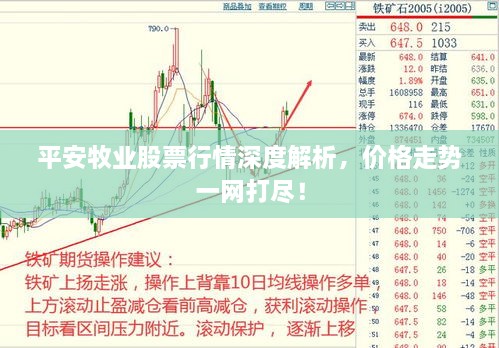 平安牧业股票行情深度解析，价格走势一网打尽！