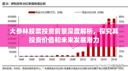 大参林股票投资前景深度解析，探究其投资价值和未来发展潜力