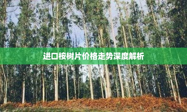 进口桉树片价格走势深度解析