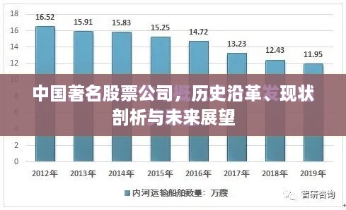 中国著名股票公司，历史沿革、现状剖析与未来展望