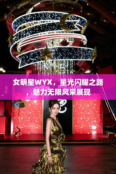 女明星WYX，星光闪耀之路，魅力无限风采展现