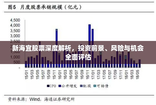 新海宜股票深度解析，投资前景、风险与机会全面评估